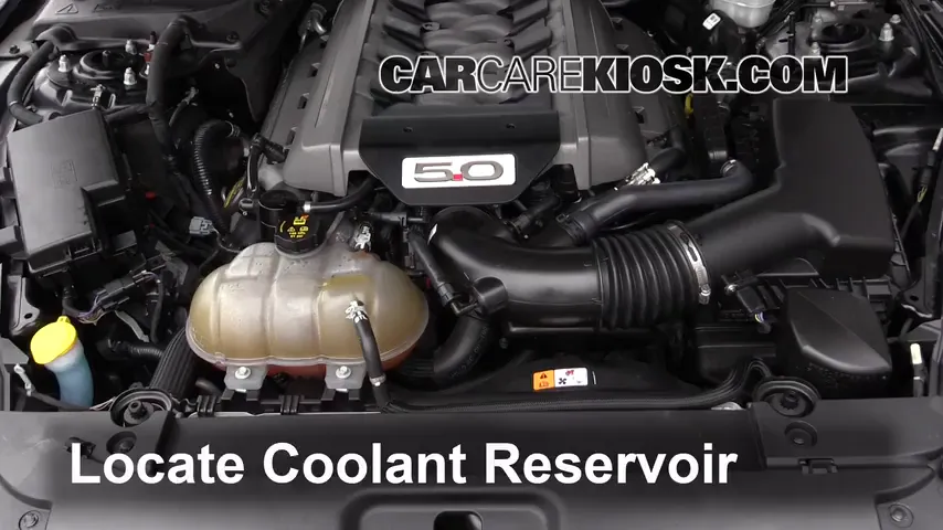 2017 Ford Mustang GT 5.0L V8 Coolant (Antifreeze)